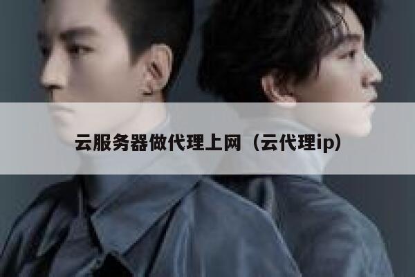 云服务器做代理上网（云代理ip） 第1张