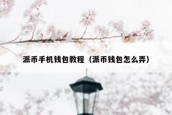 派币手机钱包教程(派币钱包怎么弄) 第1张 派币手机钱包教程(派币钱包怎么弄) 第1张