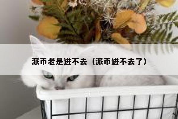 派币老是进不去（派币进不去了） 第1张
