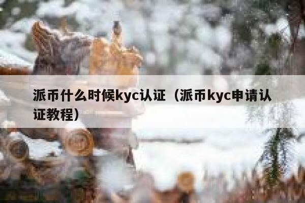 派币什么时候kyc认证（派币kyc申请认证教程） 第1张