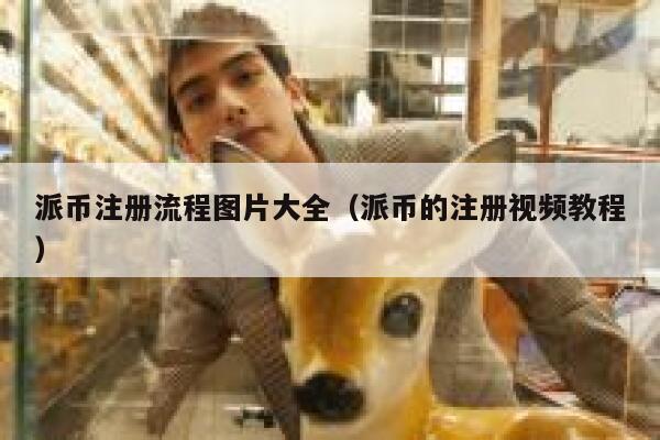 派币注册流程图片大全（派币的注册视频教程） 第1张