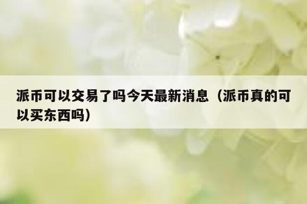 派币可以交易了吗今天最新消息(派币真的可以买东西吗) 第1张 派币可以交易了吗今天最新消息(派币真的可以买东西吗) 第1张