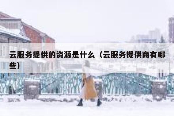 云服务提供的资源是什么(云服务提供商有哪些) 第1张 云服务提供的资源是什么(云服务提供商有哪些) 第1张