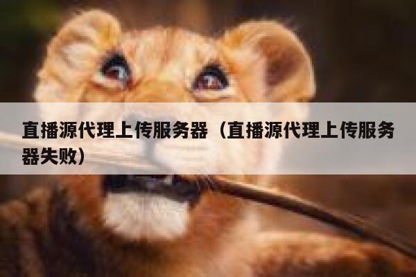 直播源代理上传服务器（直播源代理上传服务器失败） 第1张