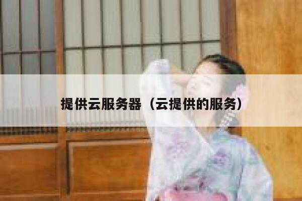 提供云服务器（云提供的服务） 第1张