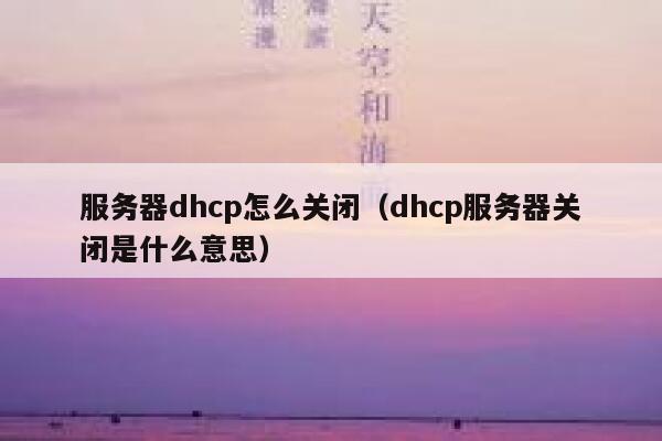 服务器dhcp怎么关闭(dhcp服务器关闭是什么意思) 第1张 服务器dhcp怎么关闭(dhcp服务器关闭是什么意思) 第1张