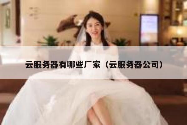 云服务器有哪些厂家（云服务器公司） 第1张
