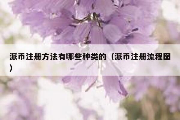 派币注册方法有哪些种类的（派币注册流程图） 第1张