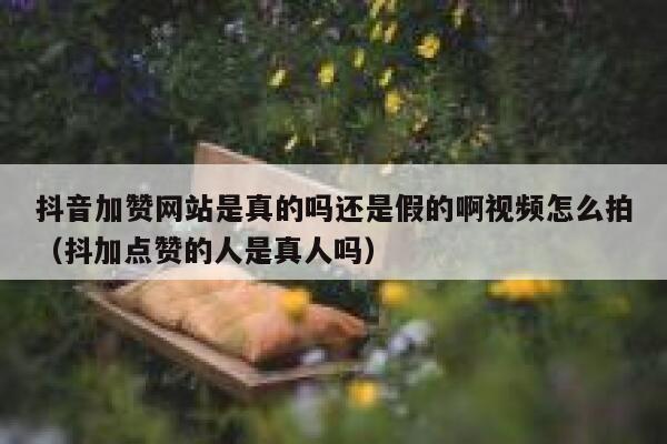 抖音加赞网站是真的吗还是假的啊视频怎么拍(抖加点赞的人是真人吗) 第1张 抖音加赞网站是真的吗还是假的啊视频怎么拍(抖加点赞的人是真人吗) 第1张
