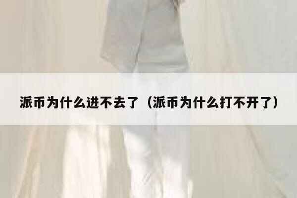 派币为什么进不去了(派币为什么打不开了) 第1张 派币为什么进不去了(派币为什么打不开了) 第1张