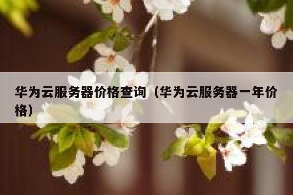 华为云服务器价格查询(华为云服务器一年价格) 第1张 华为云服务器价格查询(华为云服务器一年价格) 第1张