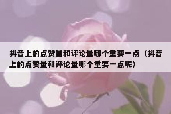 抖音上的点赞量和评论量哪个重要一点(抖音上的点赞量和评论量哪个重要一点呢) 第1张 抖音上的点赞量和评论量哪个重要一点(抖音上的点赞量和评论量哪个重要一点呢) 第1张