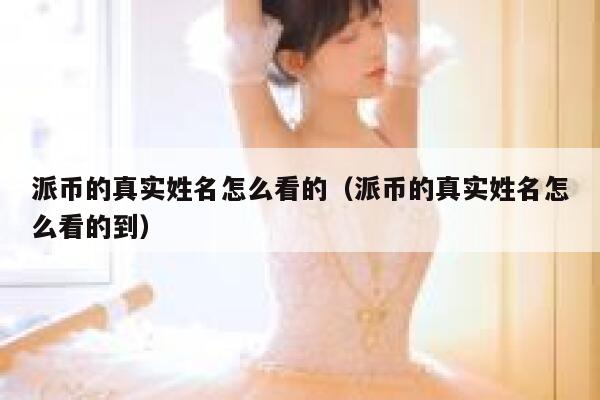 派币的真实姓名怎么看的（派币的真实姓名怎么看的到） 第1张