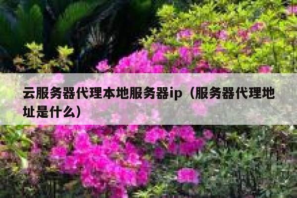 云服务器代理本地服务器ip（服务器代理地址是什么） 第1张