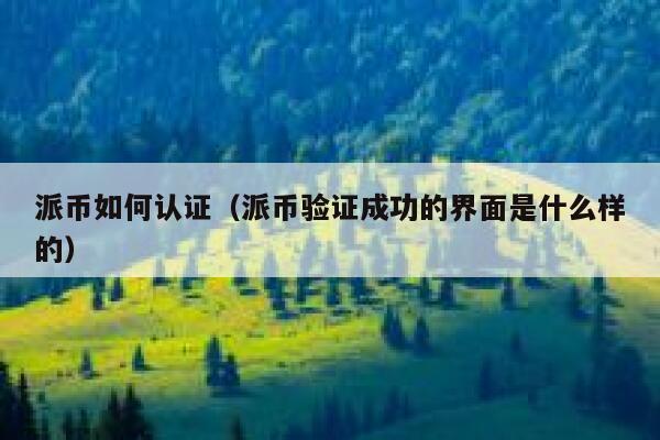 派币如何认证（派币验证成功的界面是什么样的） 第1张