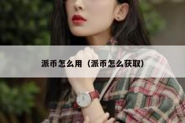 派币怎么用（派币怎么获取） 第1张