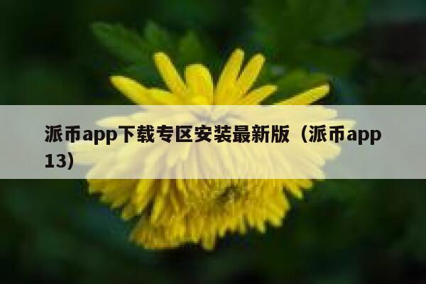 派币app下载专区安装最新版（派币app13） 第1张