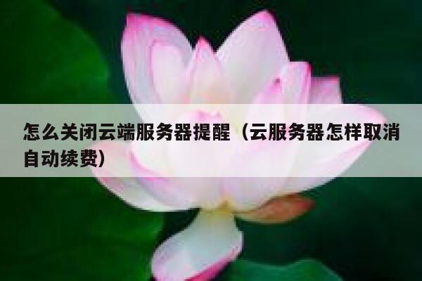 怎么关闭云端服务器提醒（云服务器怎样取消自动续费） 第1张