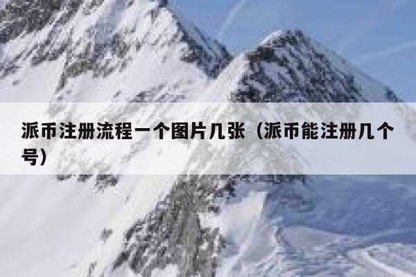 派币注册流程一个图片几张（派币能注册几个号） 第1张