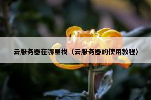 云服务器在哪里找（云服务器的使用教程） 第1张