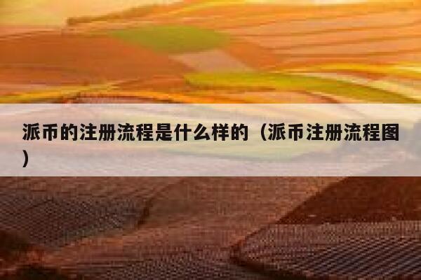 派币的注册流程是什么样的（派币注册流程图） 第1张