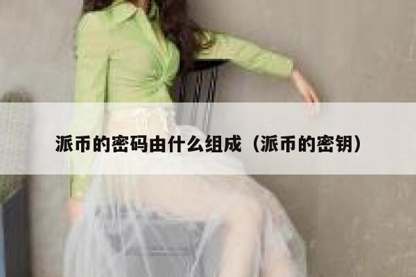 派币的密码由什么组成（派币的密钥） 第1张