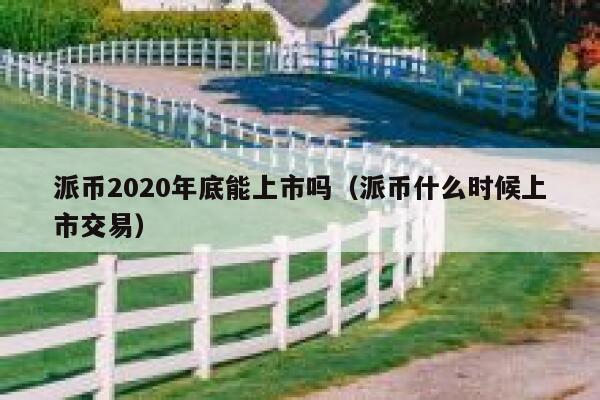 派币2020年底能上市吗（派币什么时候上市交易） 第1张