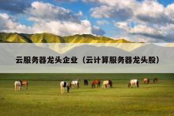 云服务器龙头企业（云计算服务器龙头股） 第1张