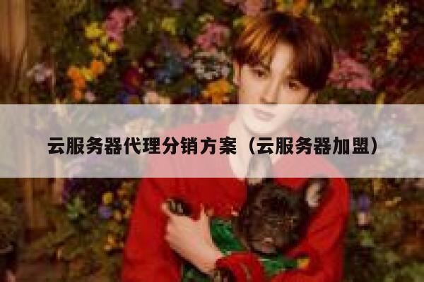 云服务器代理分销方案（云服务器加盟） 第1张