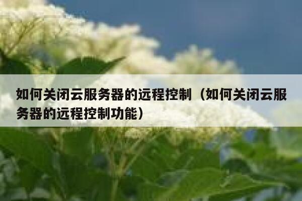 如何关闭云服务器的远程控制（如何关闭云服务器的远程控制功能） 第1张