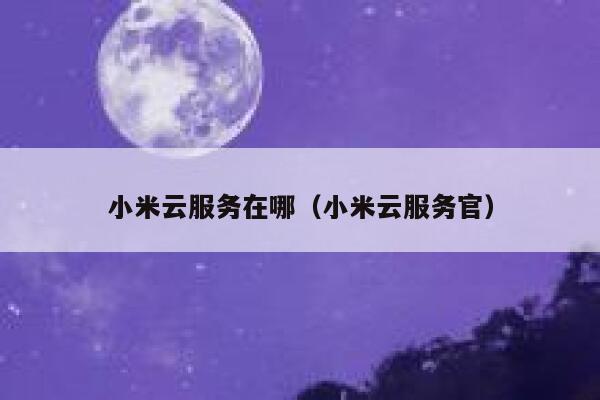 小米云服务在哪（小米云服务官） 第1张