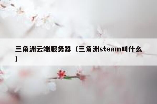 三角洲云端服务器（三角洲steam叫什么） 第1张
