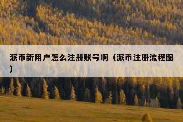 派币新用户怎么注册账号啊（派币注册流程图） 第1张