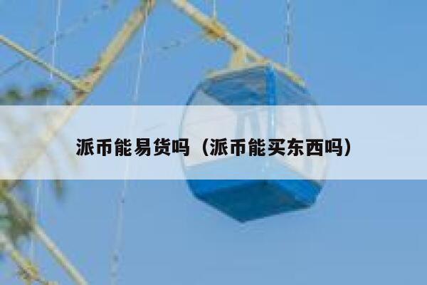 派币能易货吗（派币能买东西吗） 第1张