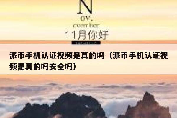 派币手机认证视频是真的吗（派币手机认证视频是真的吗安全吗） 第1张