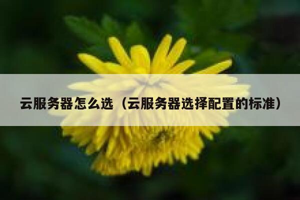 云服务器怎么选（云服务器选择配置的标准） 第1张