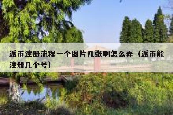 派币注册流程一个图片几张啊怎么弄（派币能注册几个号） 第1张