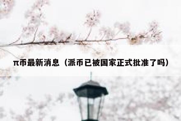 π币最新消息（派币已被国家正式批准了吗） 第1张