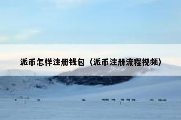 派币怎样注册钱包（派币注册流程视频） 第1张