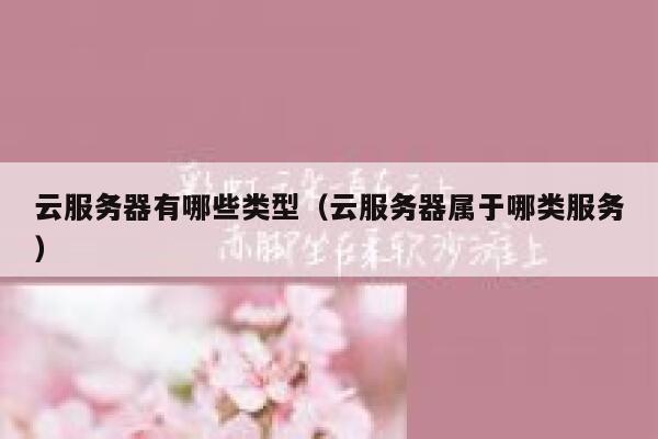 云服务器有哪些类型（云服务器属于哪类服务） 第1张