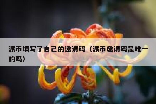 派币填写了自己的邀请码（派币邀请码是唯一的吗） 第1张