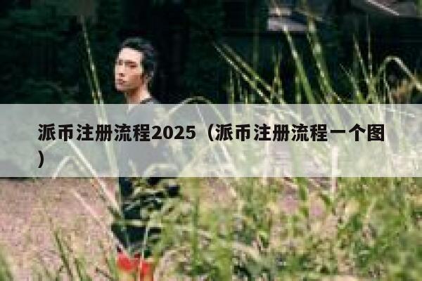 派币注册流程2025（派币注册流程一个图） 第1张