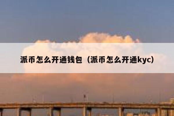 派币怎么开通钱包（派币怎么开通kyc） 第1张