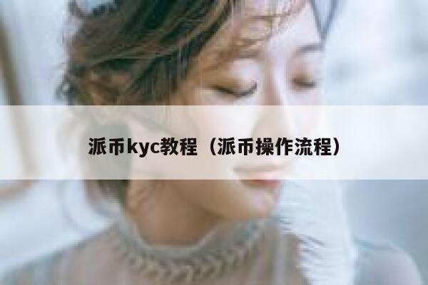 派币kyc教程（派币操作流程） 第1张