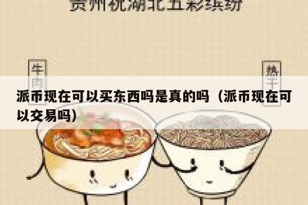 派币现在可以买东西吗是真的吗（派币现在可以交易吗） 第1张