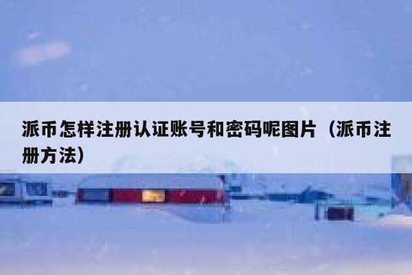 派币怎样注册认证账号和密码呢图片（派币注册方法） 第1张
