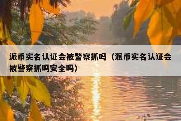派币实名认证会被警察抓吗（派币实名认证会被警察抓吗安全吗） 第1张