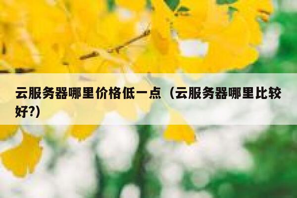 云服务器哪里价格低一点（云服务器哪里比较好?） 第1张