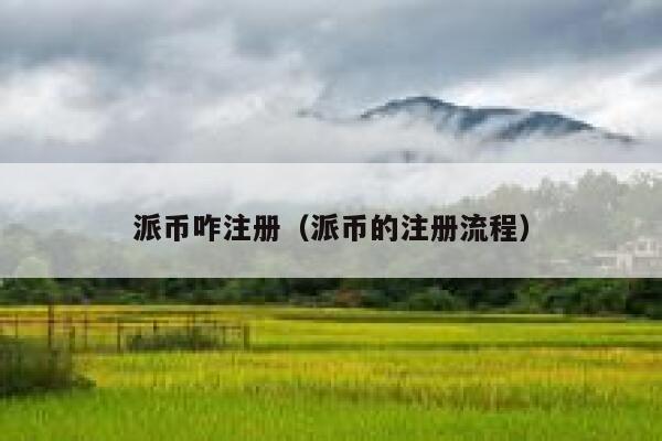 派币咋注册（派币的注册流程） 第1张