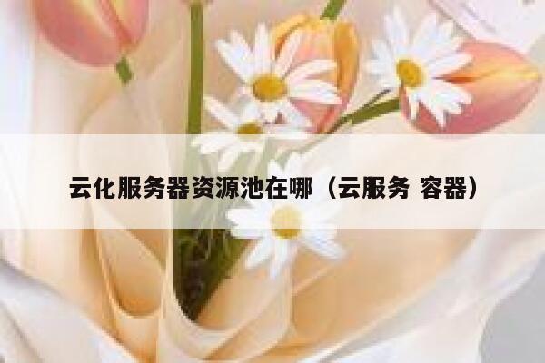 云化服务器资源池在哪（云服务 容器） 第1张